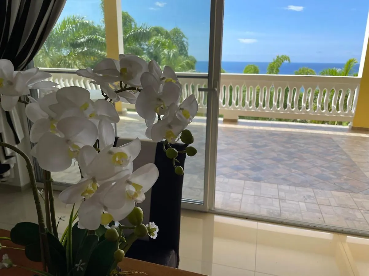 Spring Garden Mobay Resort Luxurious Apartments Montego Bay Jamajka